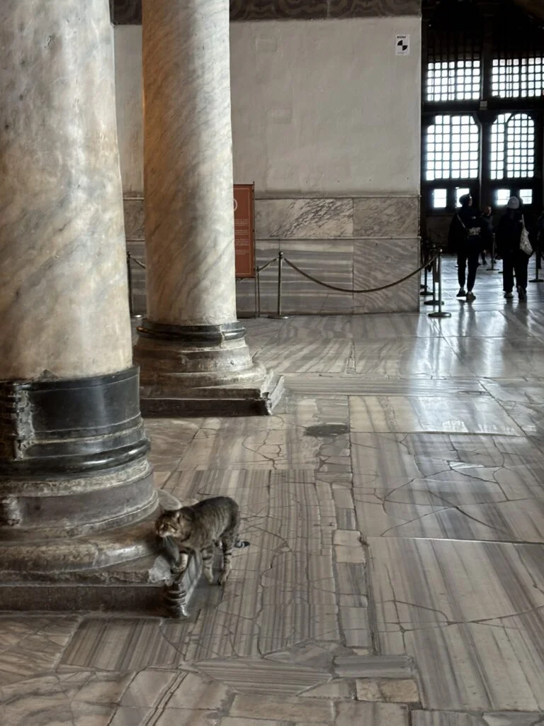 Jurnal de pe tărâmuri bizantine (I) - Constantinopol 2015