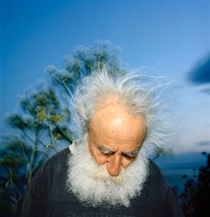 Renașterea proverbelor (V)