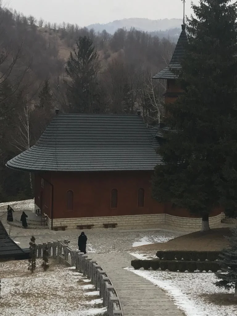 Cancerul lui Mircea și „Raiul cel nins” al lui (I)