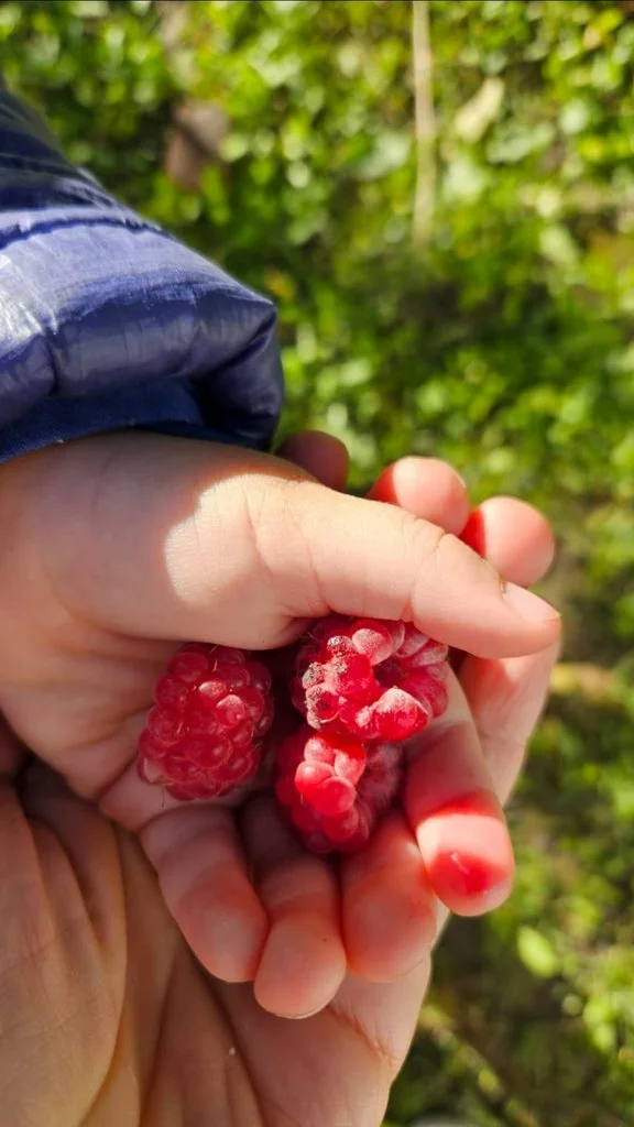 Dragostea care se face rugăciune