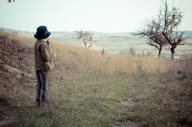 Felurite întâmplări