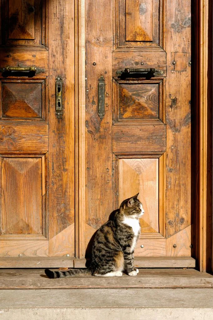 Jurnal de pe meleaguri bizantine (II) 2022