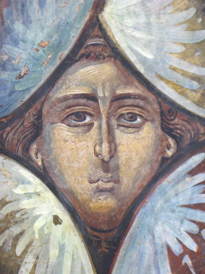 Așa devine omul „nelumesc”