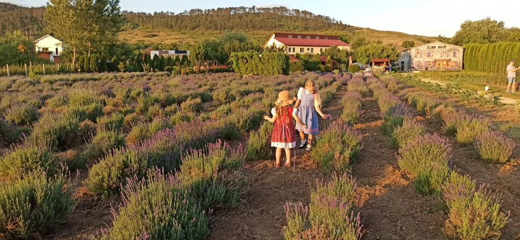 „Mundus mirabilis”