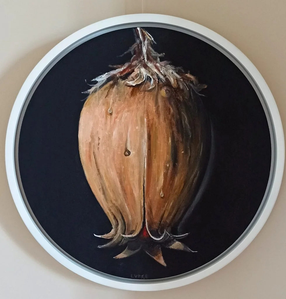 „Mundus mirabilis”