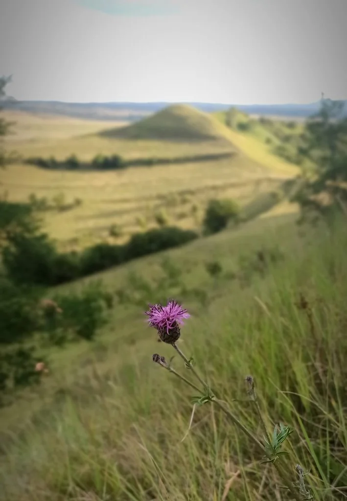 „Mundus mirabilis”