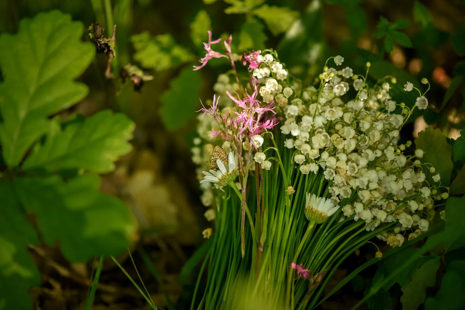 Născut din inimă și rugăciune