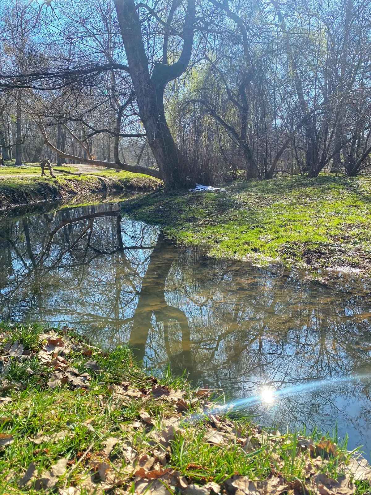 O prescripție neobișnuită
