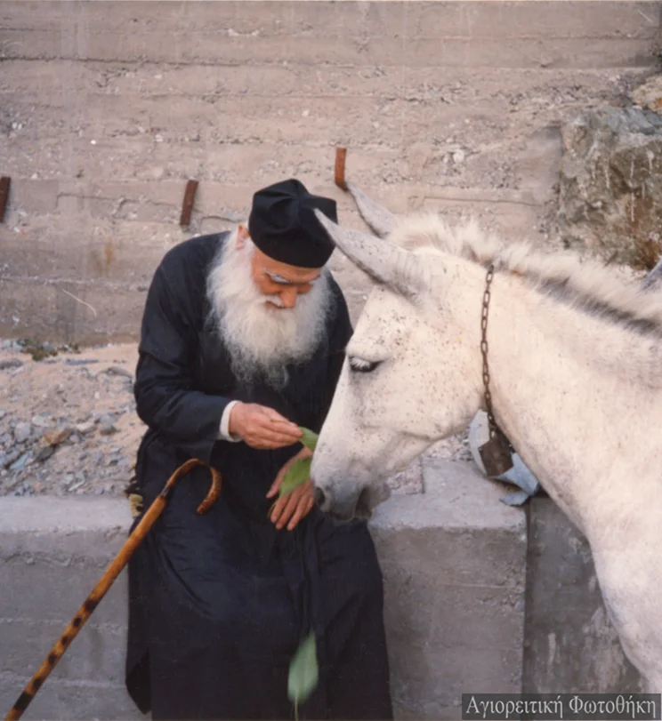 Un ocean de fericire duhovnicească