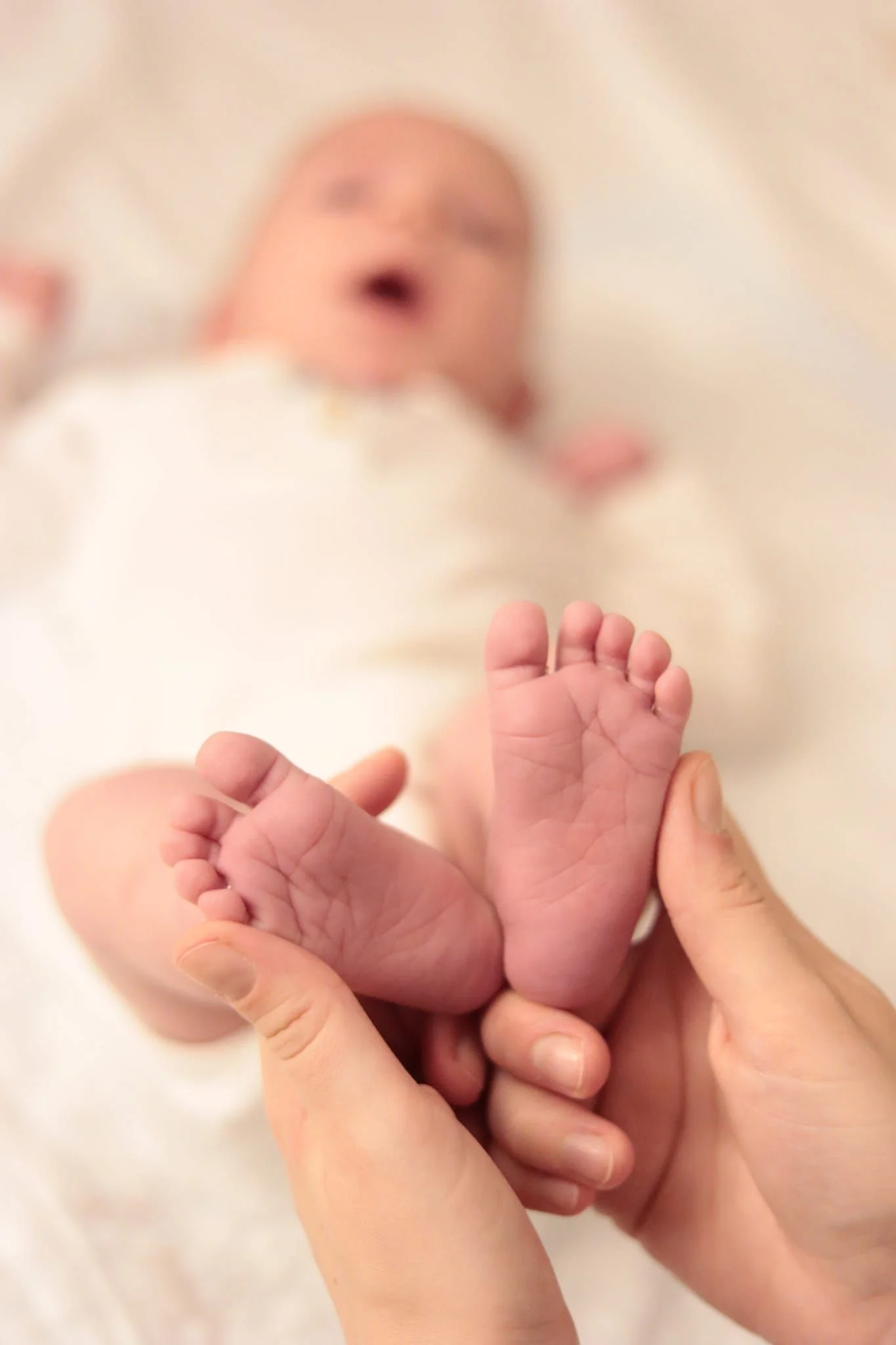 Pomul meu cu merele de aur