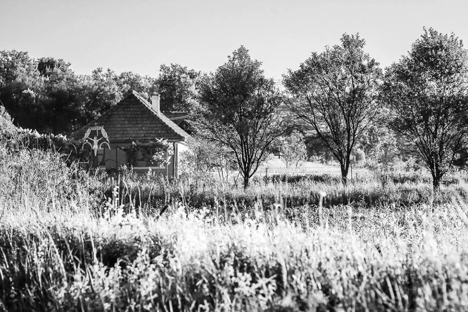 Raiuri pământești