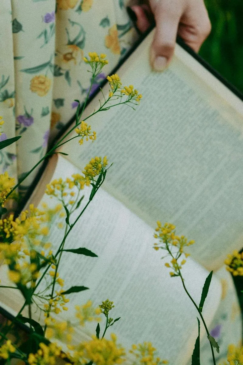 Am vrut doar să știi și tu de Lucia