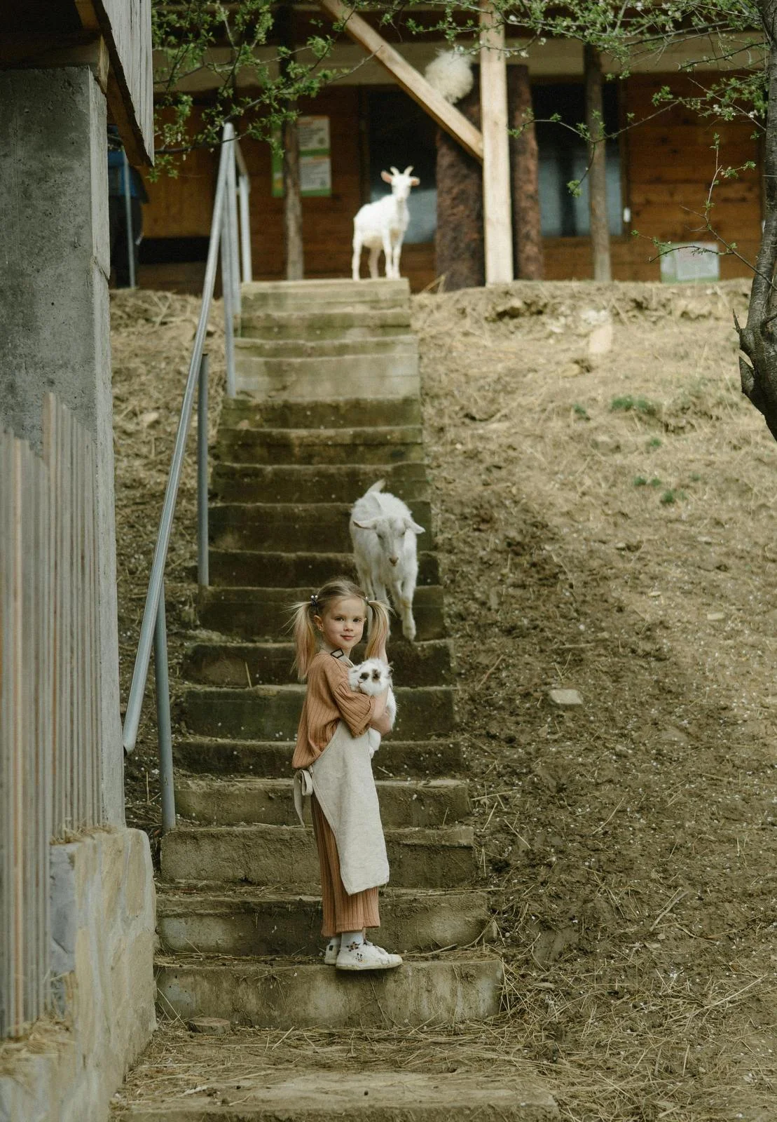 Renașterea proverbelor (III)