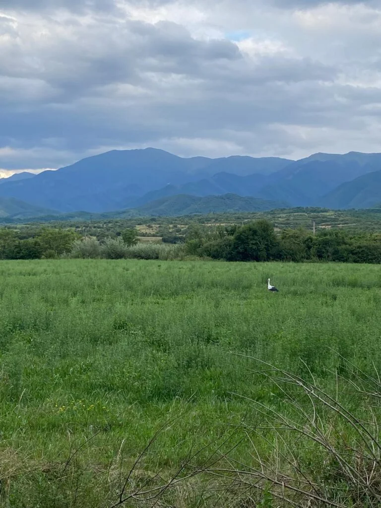 Ziua în care am aflat despre tine…