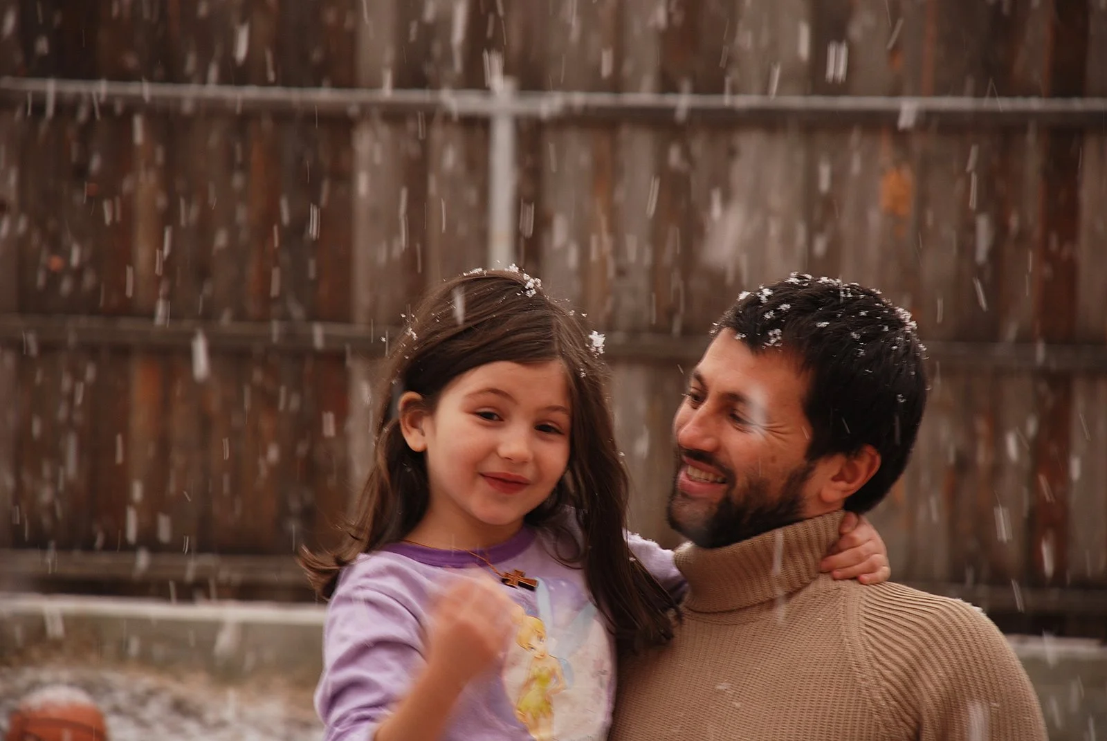 Cancerul lui Mircea și „Raiul cel nins” al lui (II)