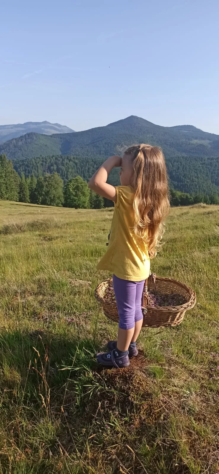 Picnic fără picnic