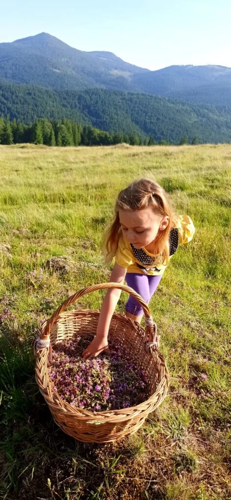 Picnic fără picnic