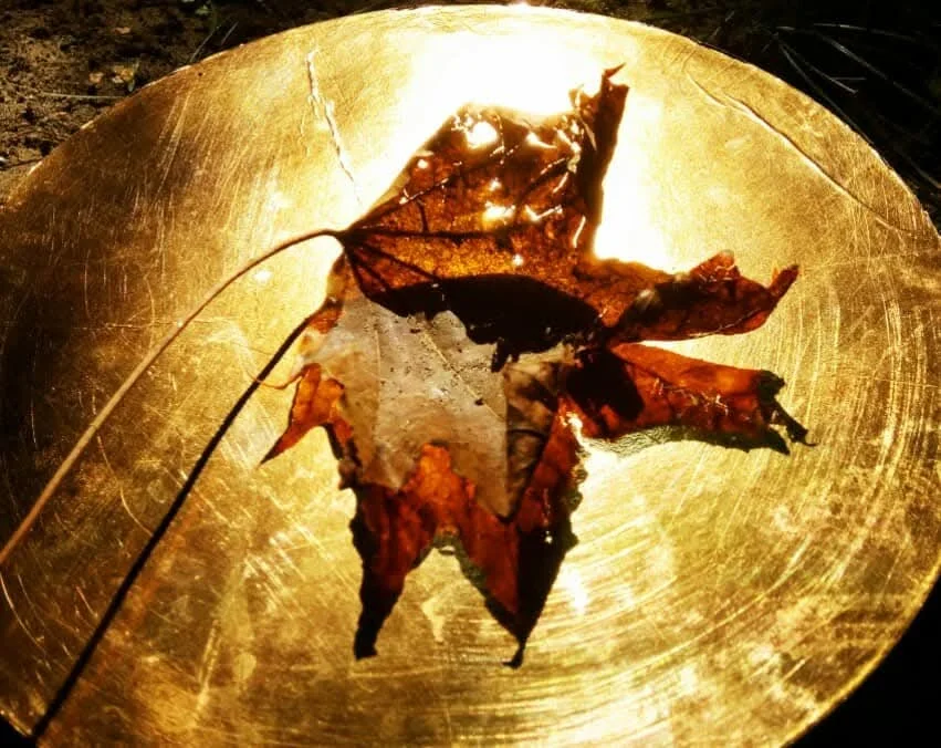 Fascinația umbrelor