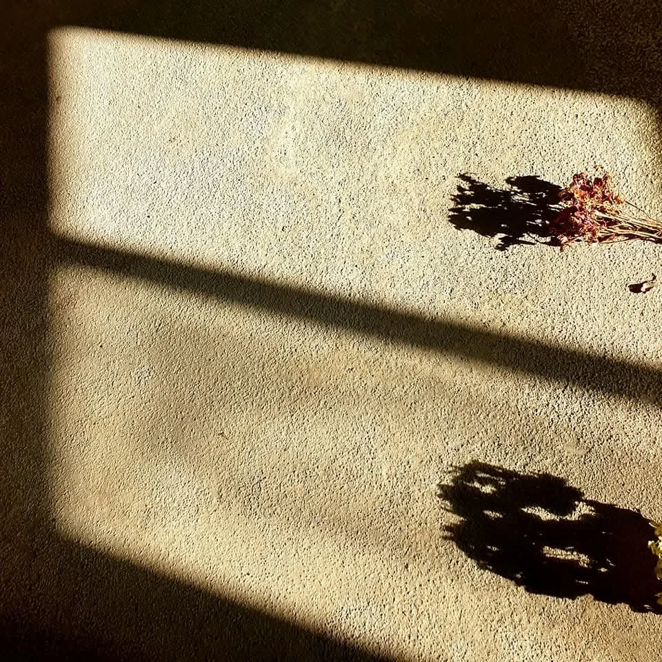 Fascinația umbrelor