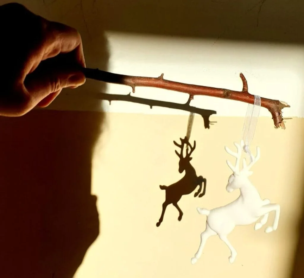 Fascinația umbrelor