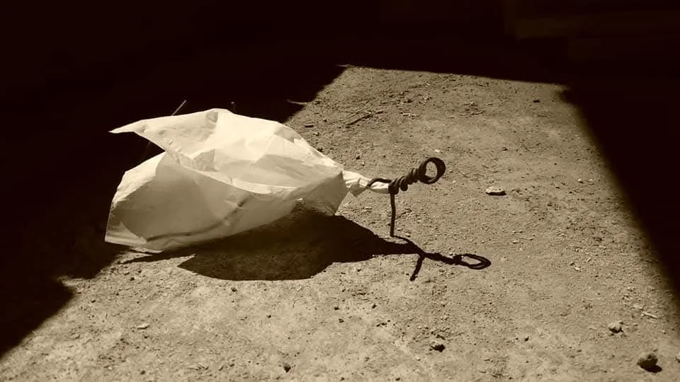 Fascinația umbrelor